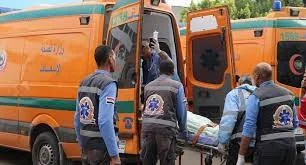 وفاة شخص في حادث تصادم على طريق البرامون بالدقهلية