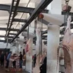 تعزيز الاقتصاد المحلي عبر أسواق ومجازر جديدة